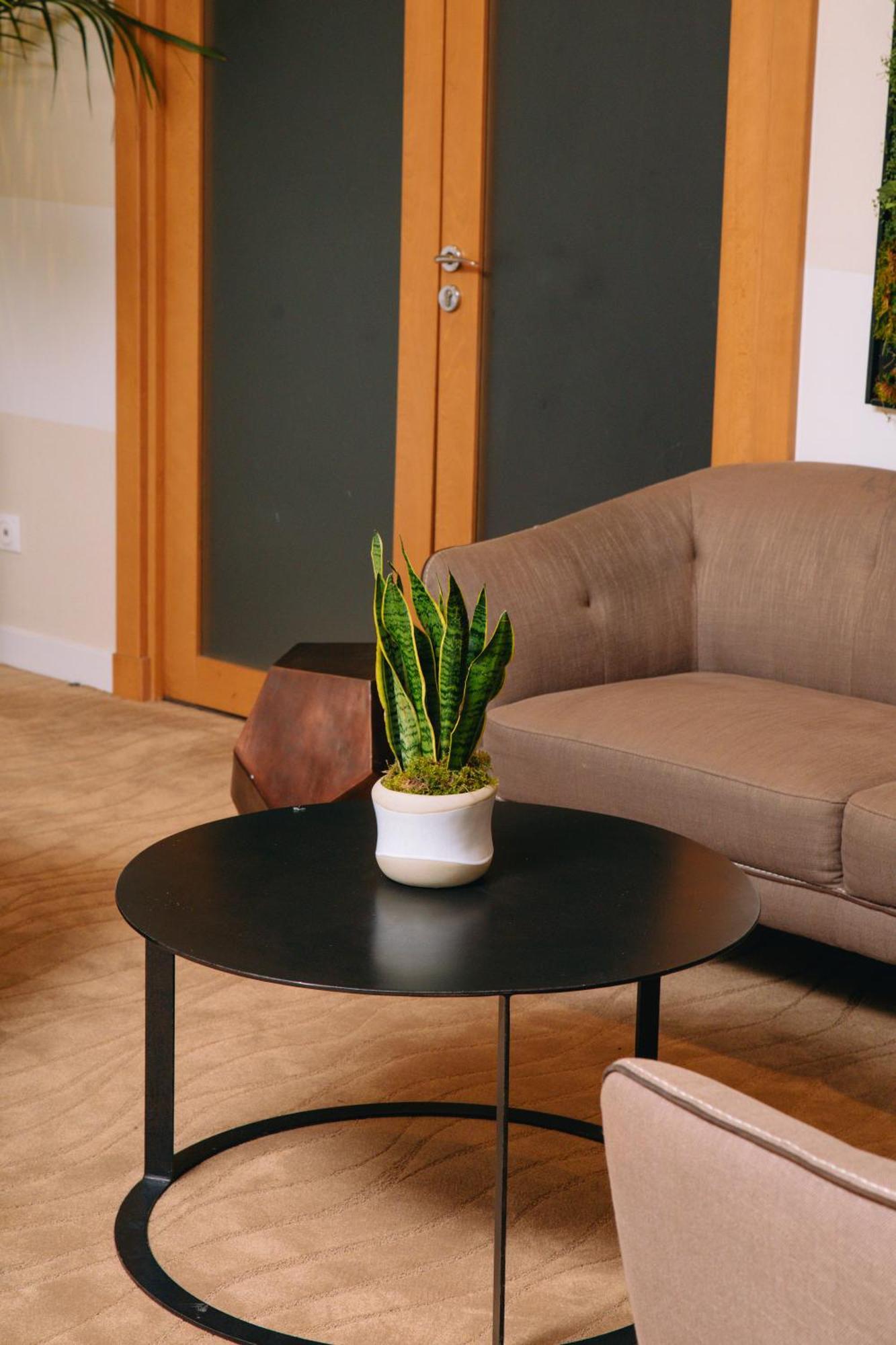 Fraser Suites Paris La Defense Курбевуа Экстерьер фото Sansevieria trifasciata